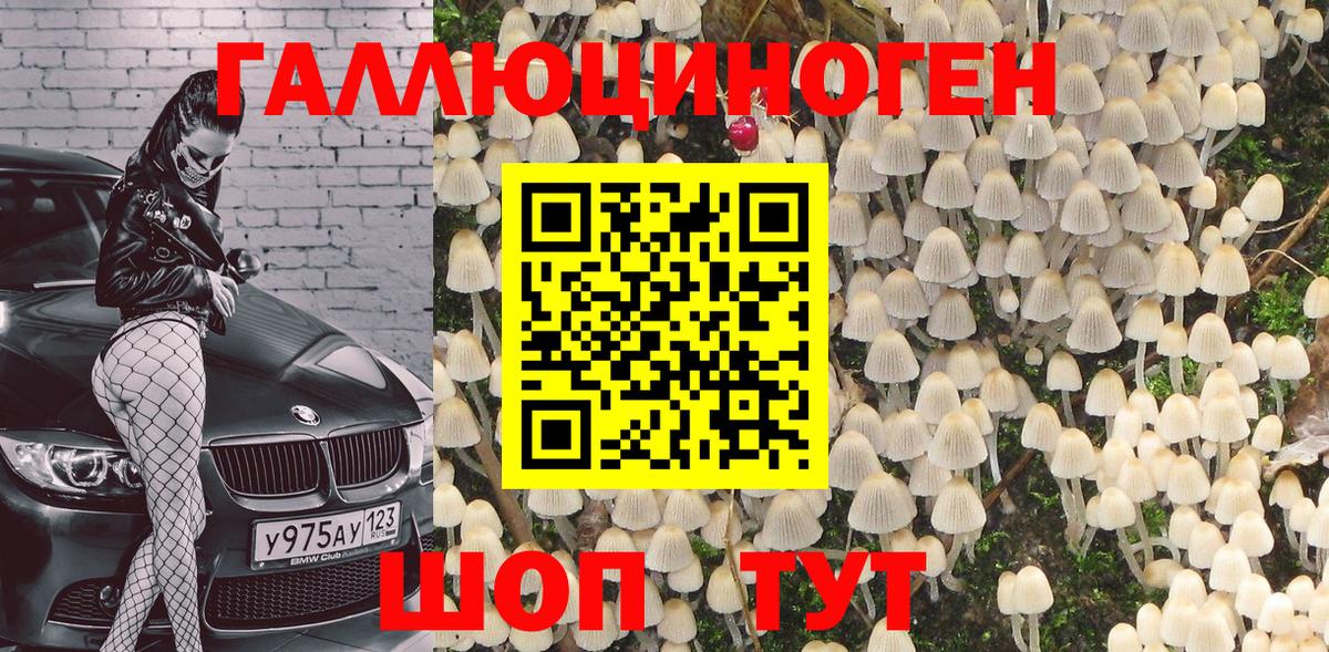 Галлюциногенные грибы MAGIC MUSHROOMS Ейск