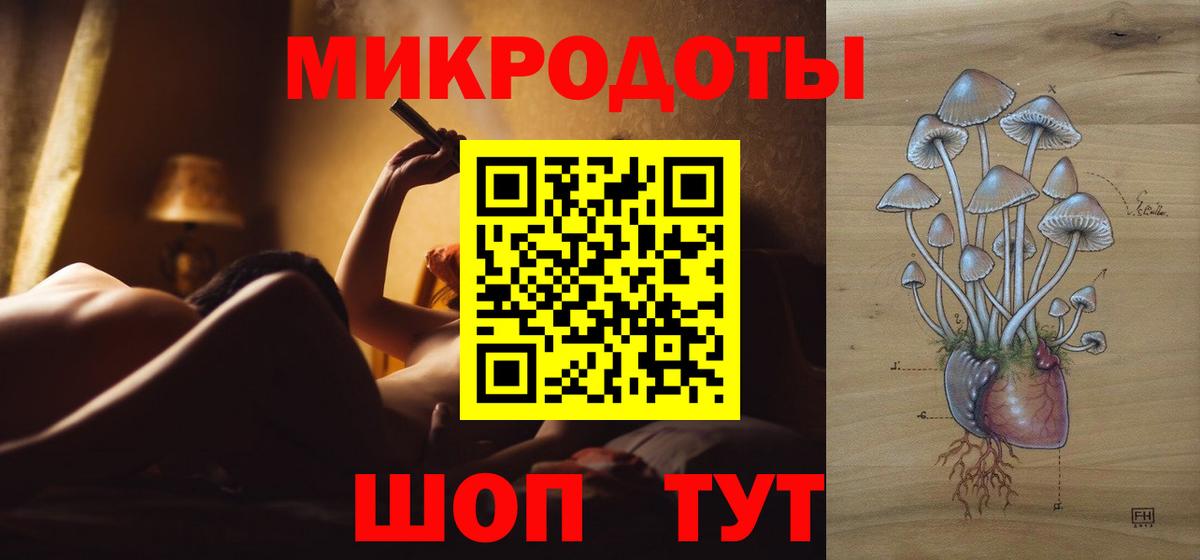Псилоцибиновые грибы GOLDEN TEACHER  Вход с VPN  Ейск  Псилоцибиновые грибы мухоморы 
